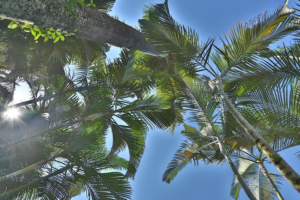 Casa Nostra Boutique Hotel Araquari Exterior photo